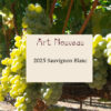2025 Sauvignon Blanc