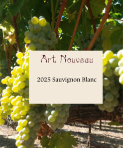 2025 Sauvignon Blanc